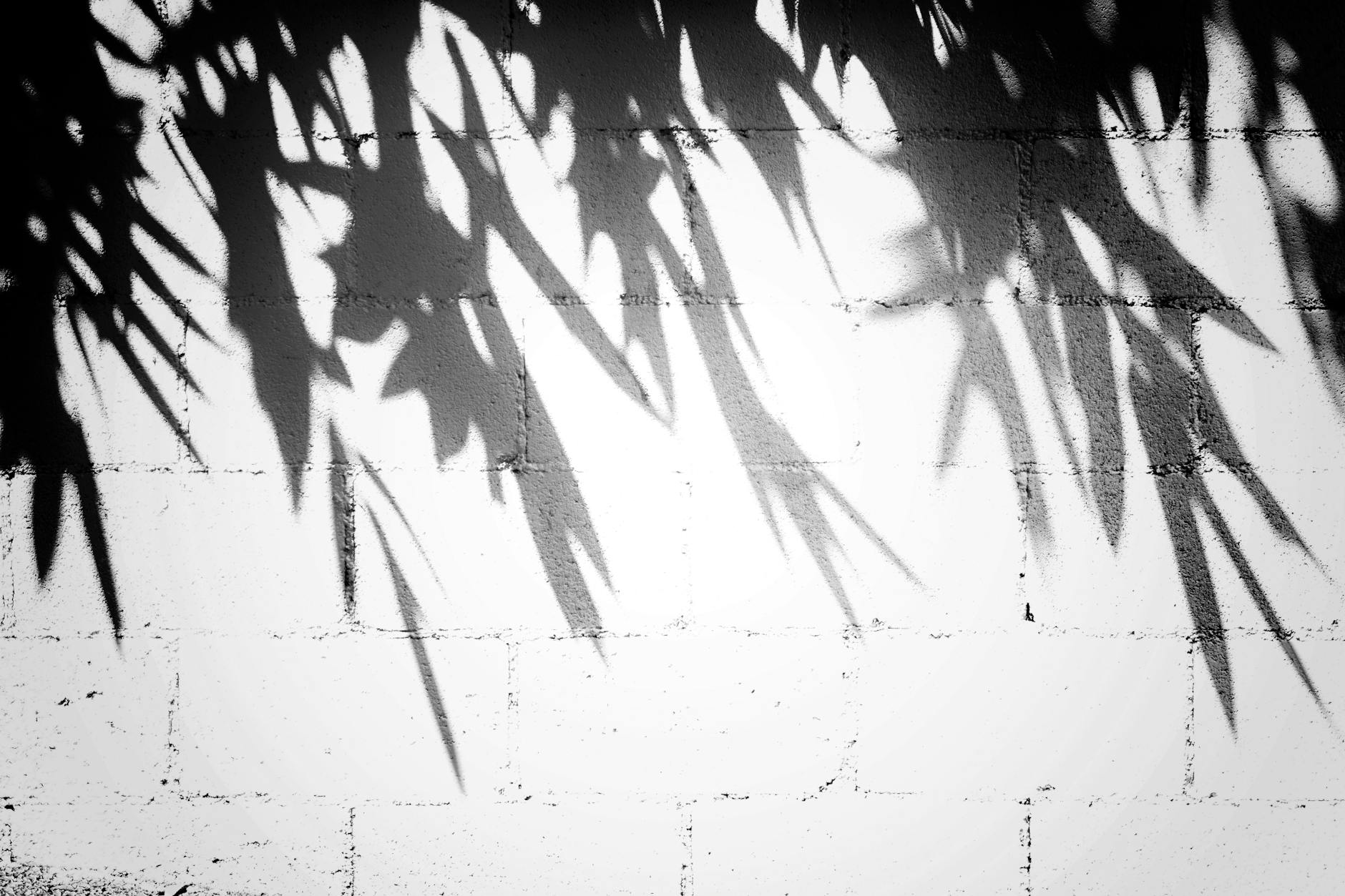 The sounds of falling water and the movement of shadows